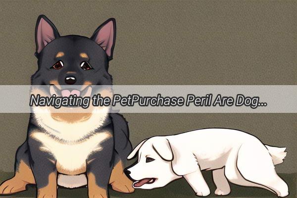 Navigating the PetPurchase Peril Are Dog Imports a Risky Venture